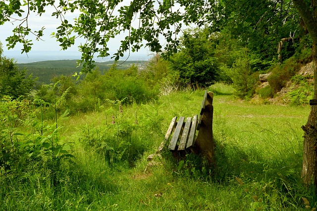 本文将深入 本文将深入