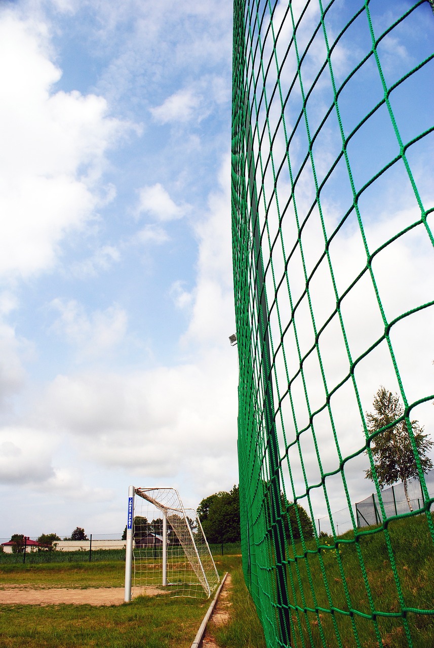 发展前景令 发展前景令