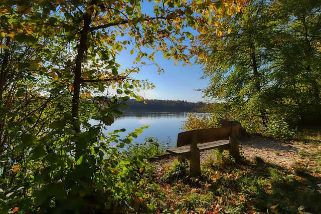 已经充分证 已经充分证