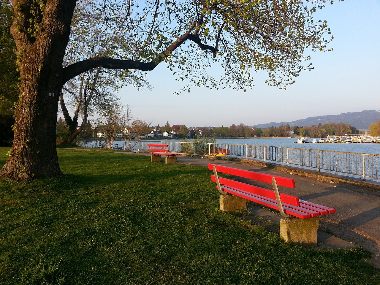 一个突出的 一个突出的